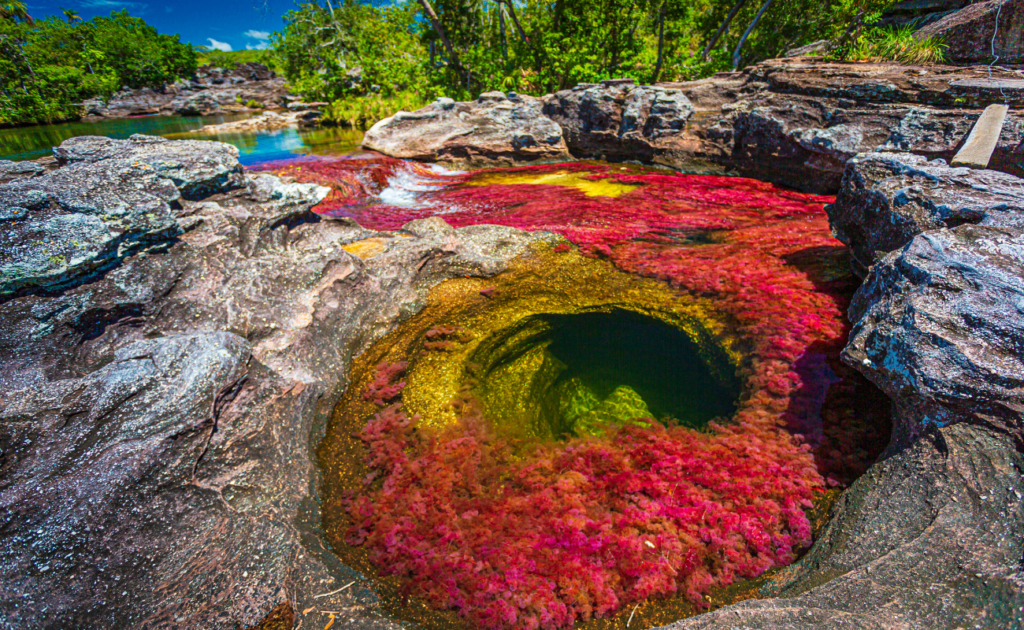 Caño Cristales  - Río de colores                